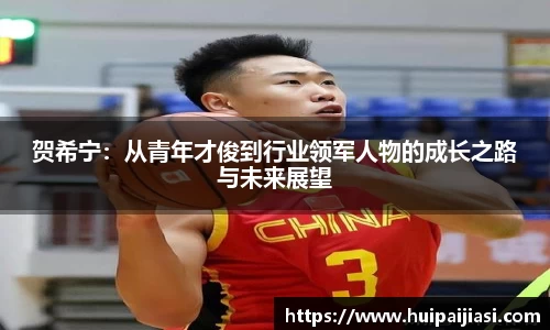 贺希宁：从青年才俊到行业领军人物的成长之路与未来展望
